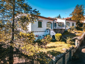 D'Aiano Guest House B&B